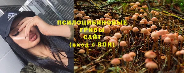 первитин Лагань