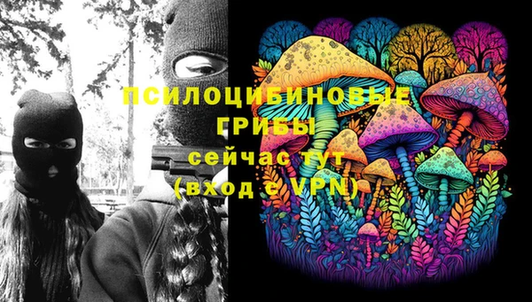 прущая мука Кулебаки
