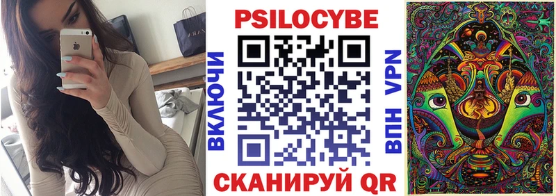 Галлюциногенные грибы Psilocybe  Владикавказ 