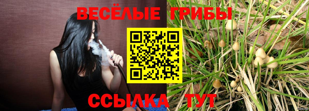 продажа наркотиков  Вход с VPN  Владикавказ  Псилоцибиновые грибы Psilocybe 